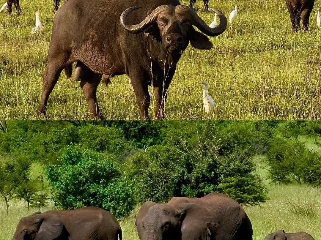 Earthlife Expeditions-阿鲁沙必去景点