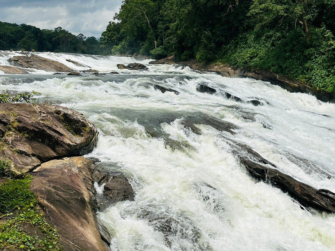 Vazhachal Waterfalls-德里久尔必去景点