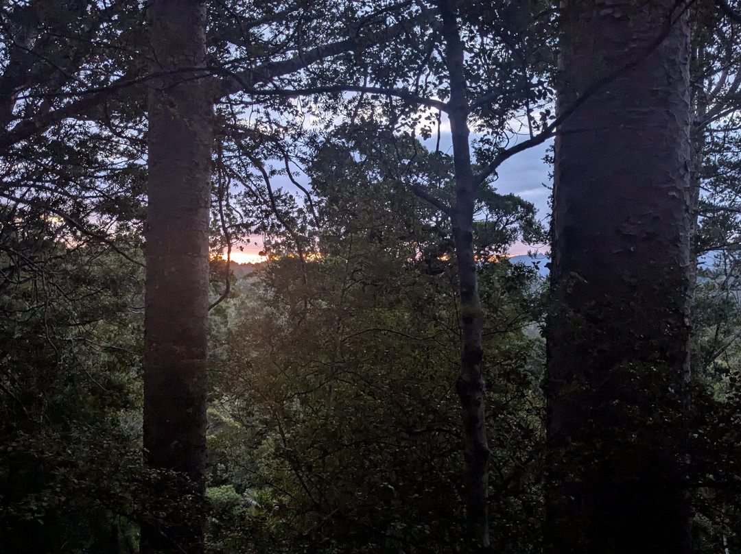 Adventure Puketi-Okaihau必去景点