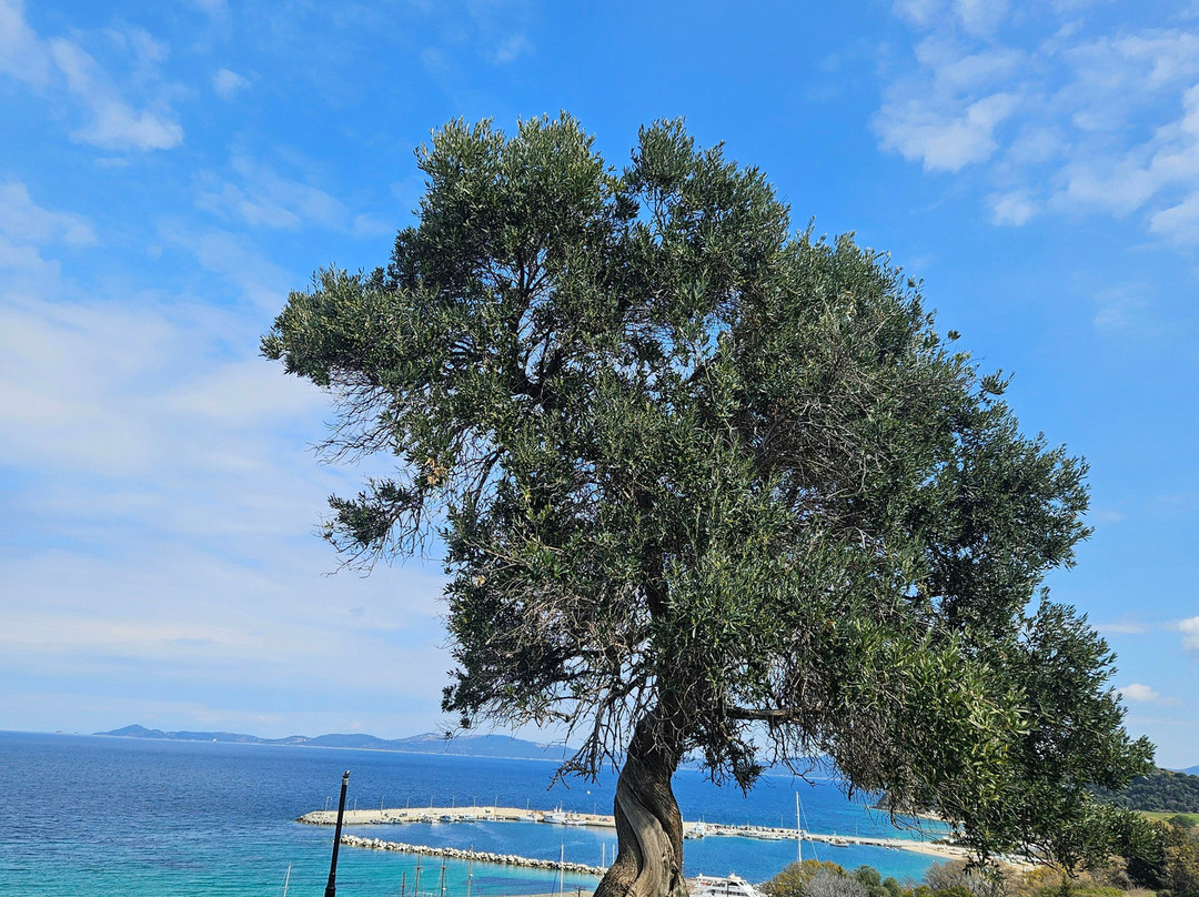 Aristotelis Road Trip-Ierissos必去景点