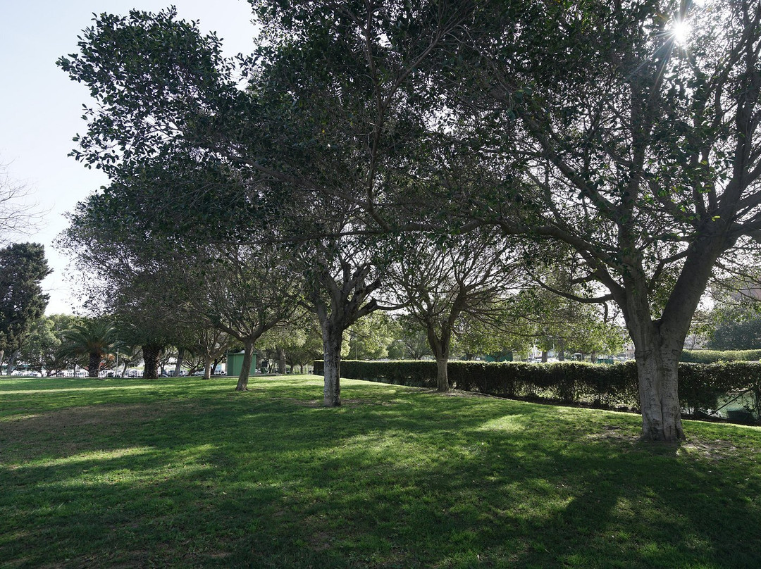 Parco Papa Giovanni Paolo Ii-塞雷尼奥必去景点