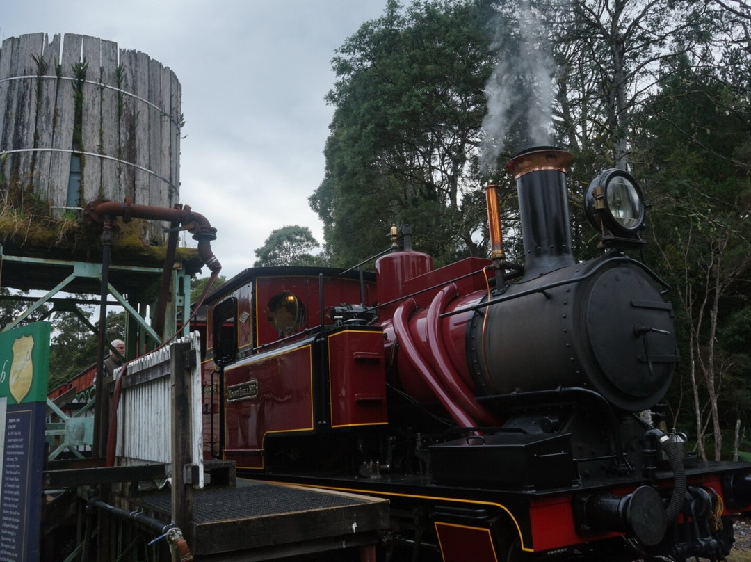 West Coast Wilderness Railway-皇后镇必去景点
