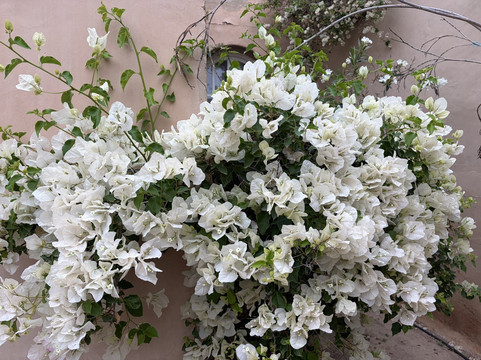 泰拉皇宫别墅度假村主图