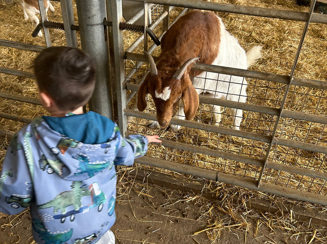 Playdale Farm Park-斯卡伯勒必去景点