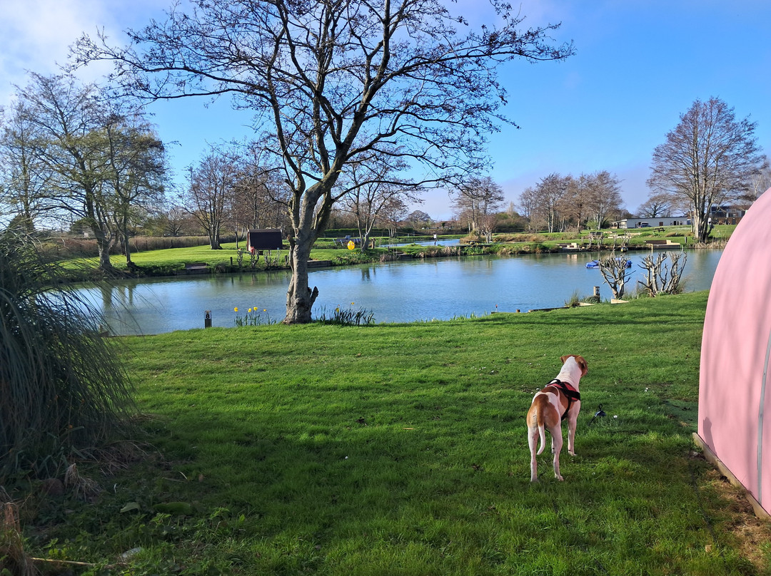 Burton Springs Fishing and Holidays-布里奇沃特必去景点