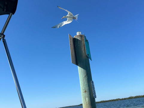 Boats And Fun-North Captiva Island必去景点