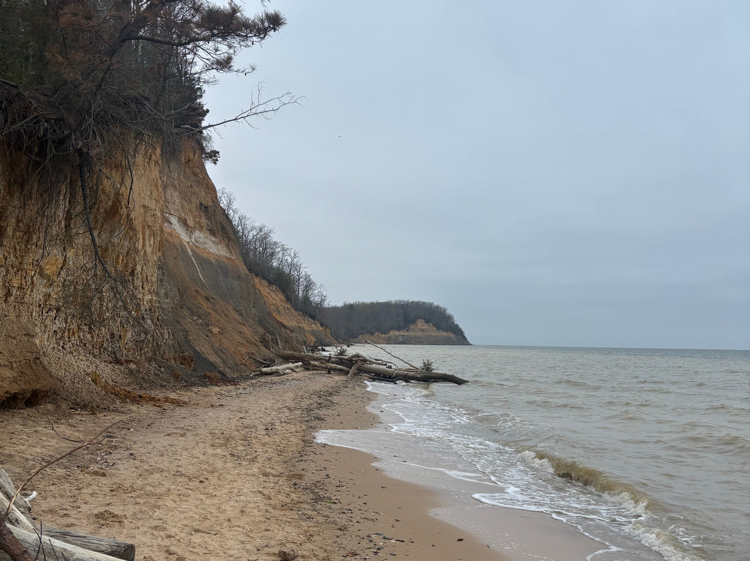 Calvert Cliffs State Park-Lusby必去景点