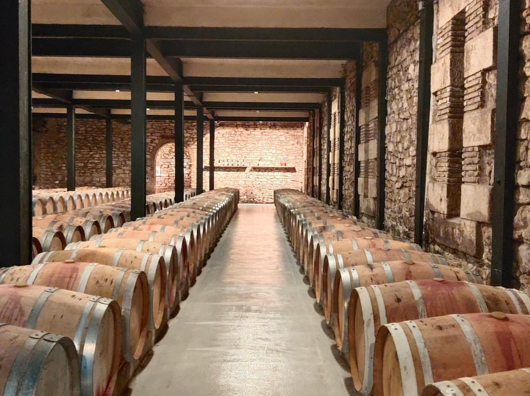 Bodegas Franco Espanolas-洛格罗尼奥必去景点