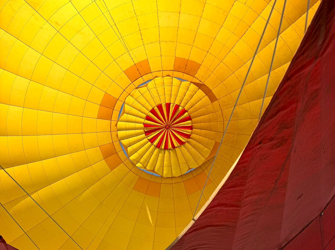 Skyship Co. Balloon Safaris-马赛马拉国家野生动物保护区必去景点
