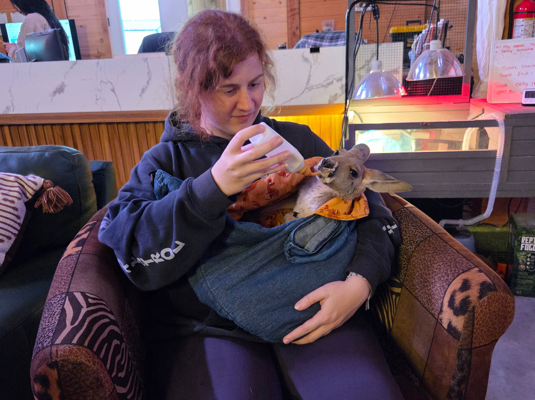 Blue Hills Ranch-McGregor必去景点