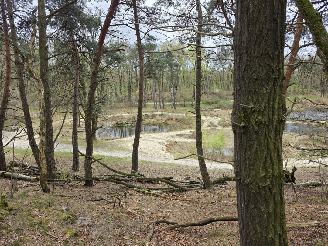 Hotel Restaurant de Keurvorst主图