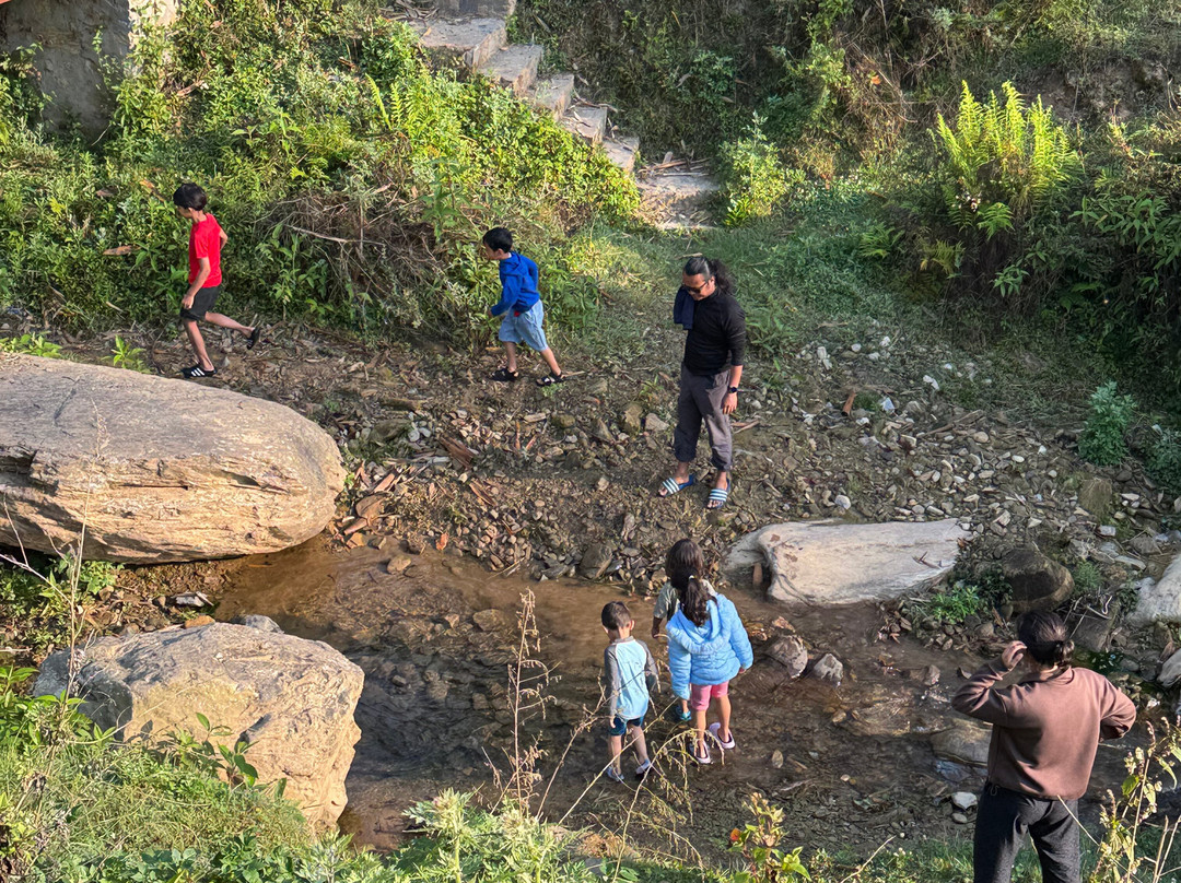 The Farm Stays at Herb Nepal主图