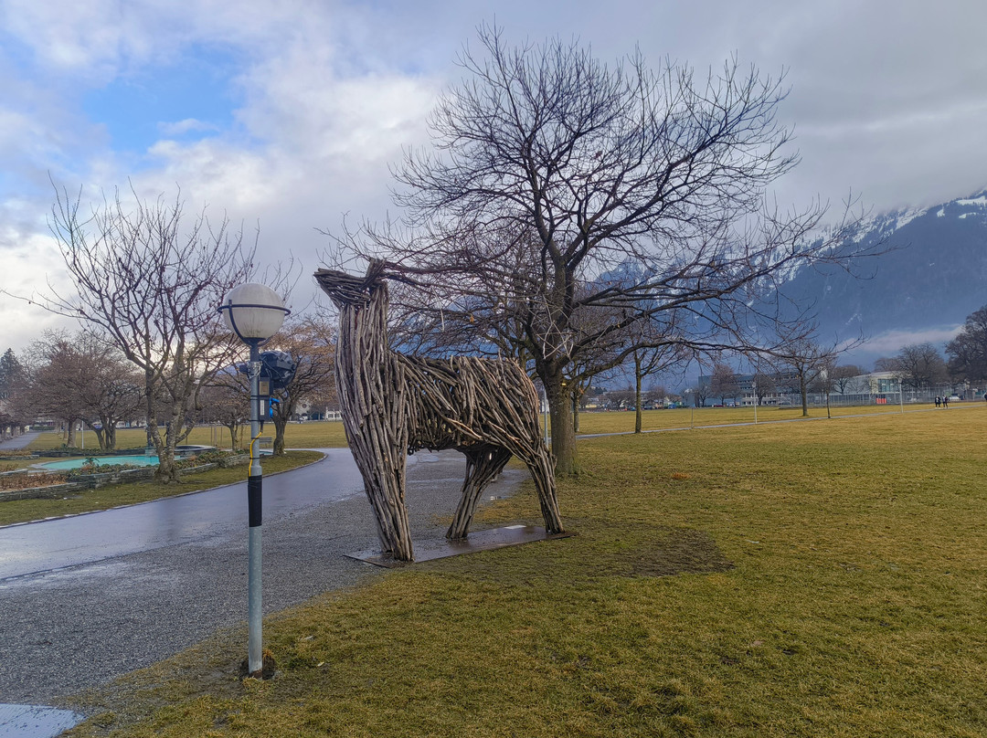 Hohematte Park-因特拉肯必去景点
