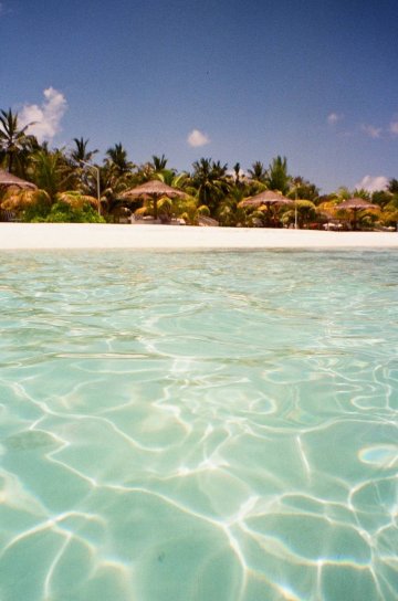 双鱼岛度假村-泳池