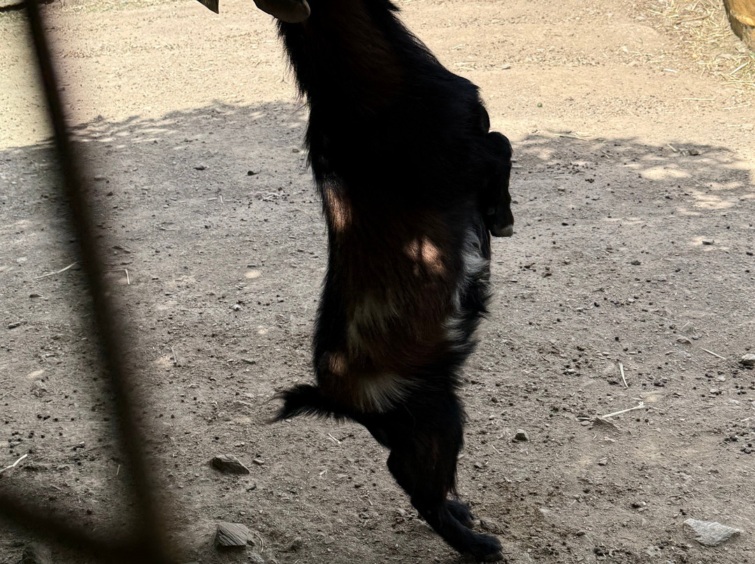 Mundo Park-Las Pajanosas必去景点