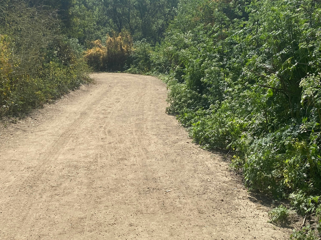 Carbon Canyon Regional Park-Brea必去景点