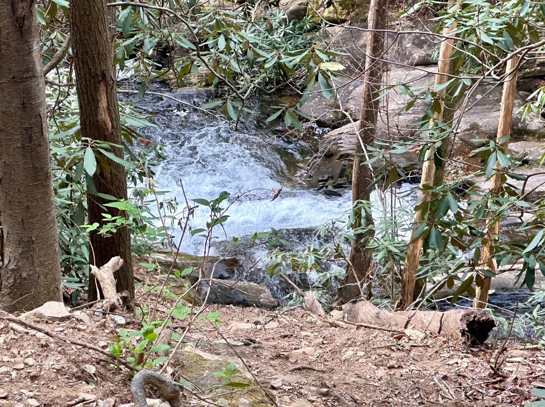 Dukes Creek Falls Trail-海伦必去景点