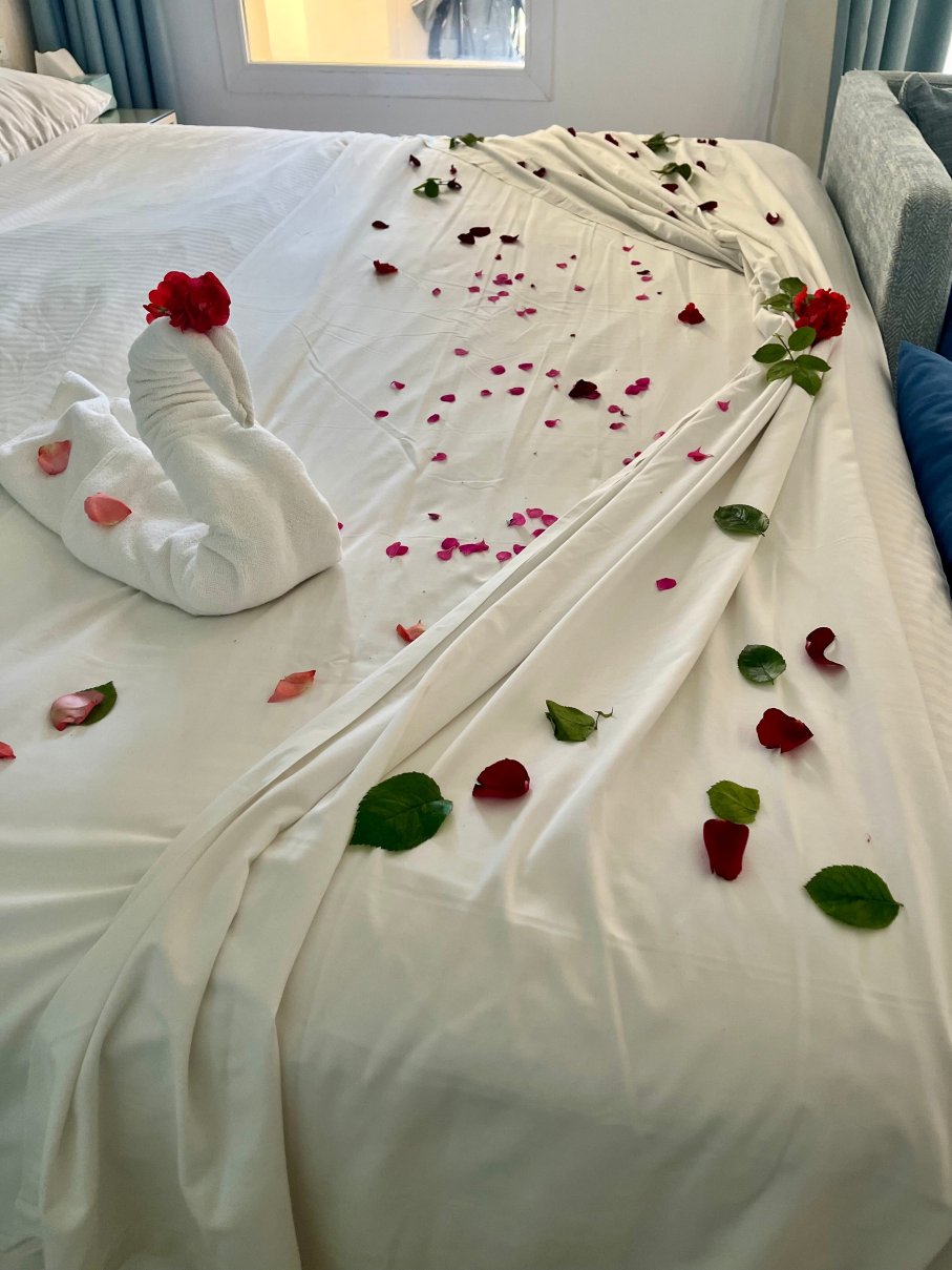 埃尔安达卢斯迪亚尔伊贝罗斯塔选择酒店-官方