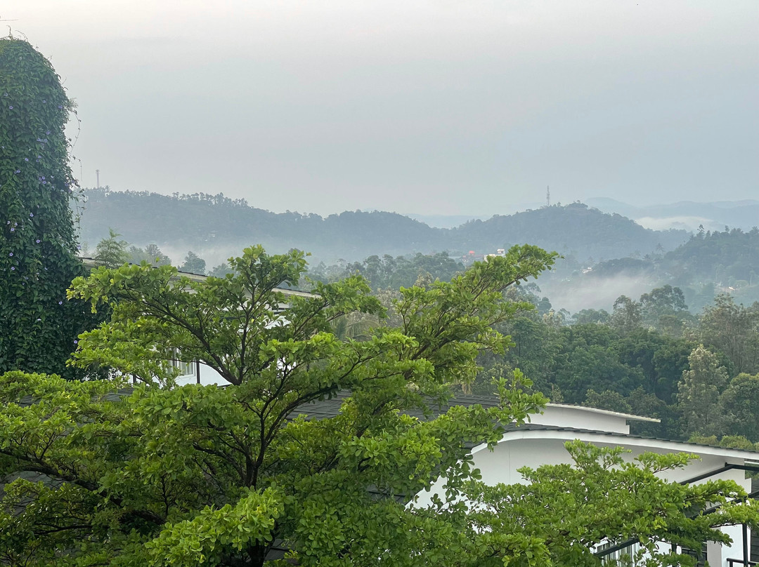 慕那尔落叶酒店主图