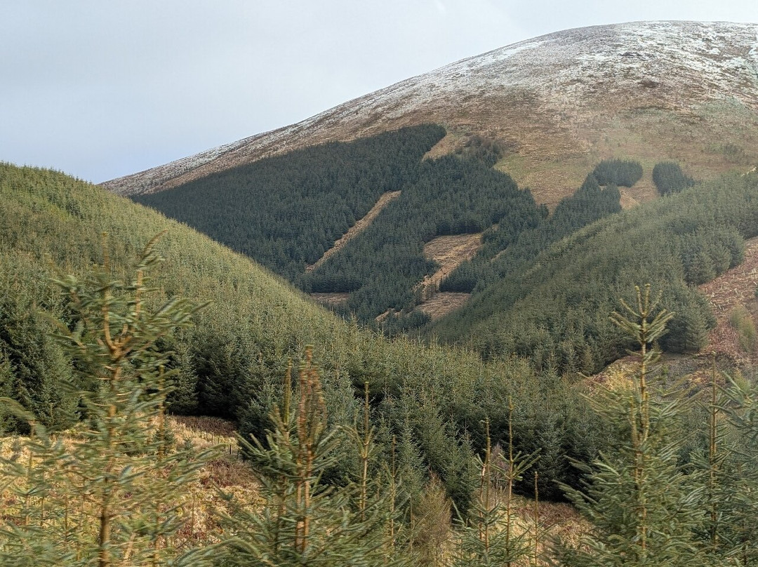 Armstrong Tours-Langholm必去景点