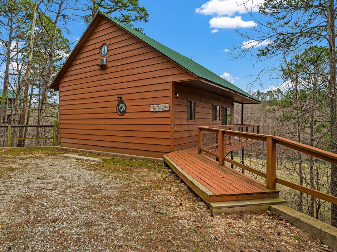 Tree House Cabins at River of Life Farm主图