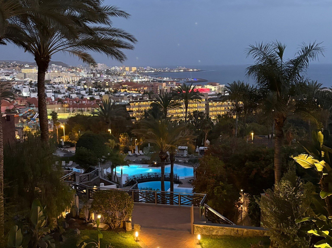 特内里费泰德公园美利亚酒店主图