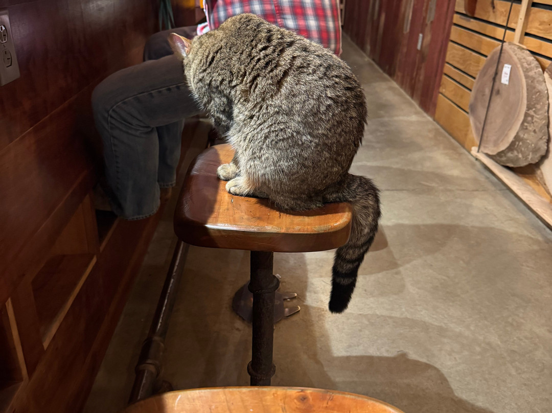 Wooly Pig Farm Brewery-Fresno必去景点