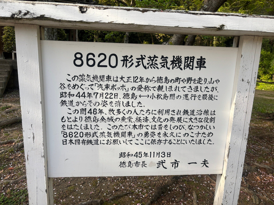 Tokushima Chuo Park-德岛市必去景点