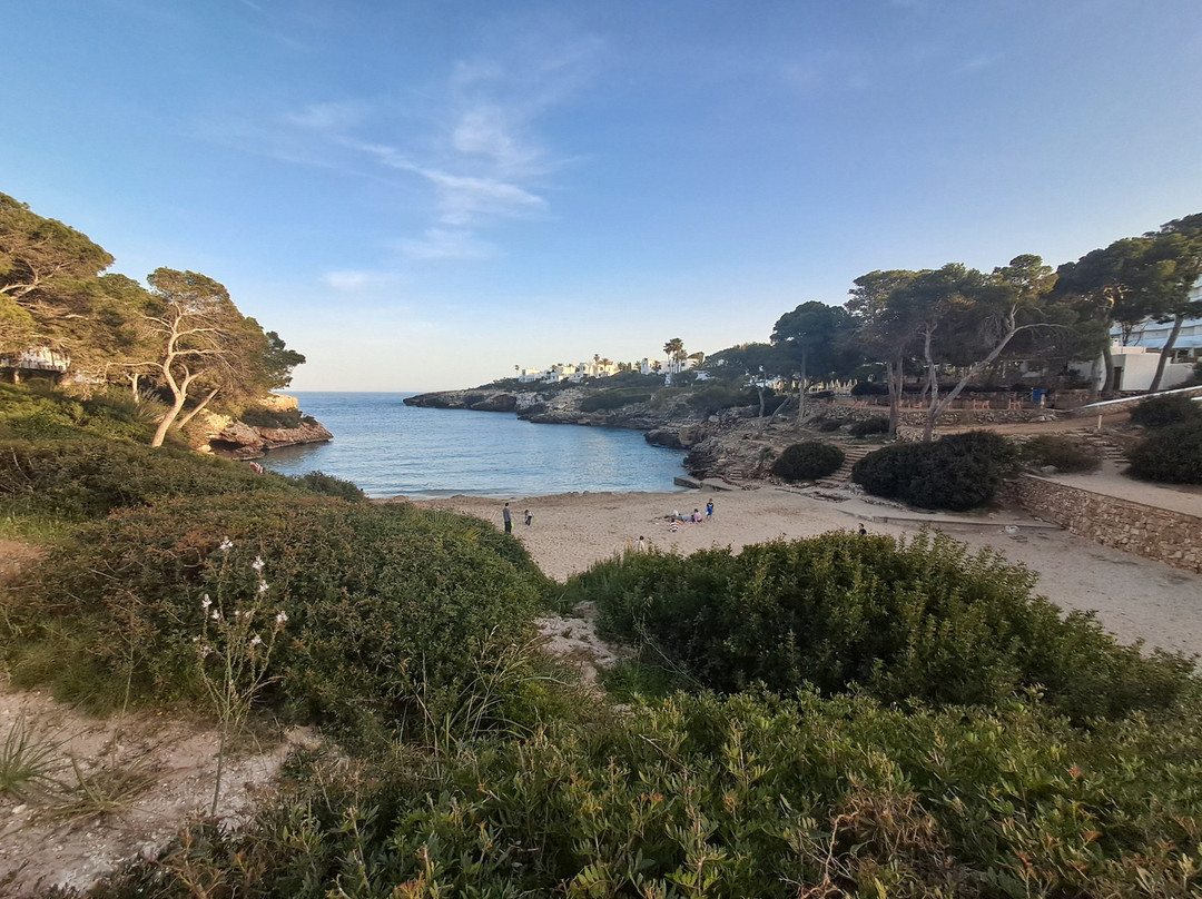 Cala Esmeralda Beach-卡拉多尔必去景点