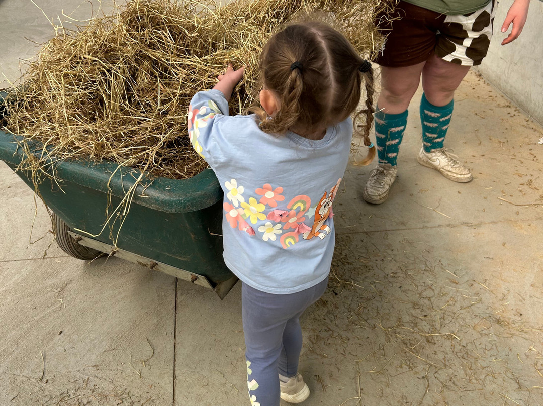 Monk Park Farm-Bagby必去景点