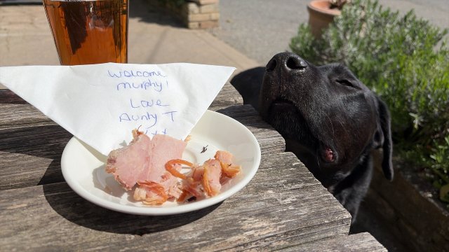 四个马蹄铁酒店-旅行者