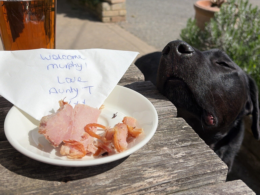 四个马蹄铁酒店主图