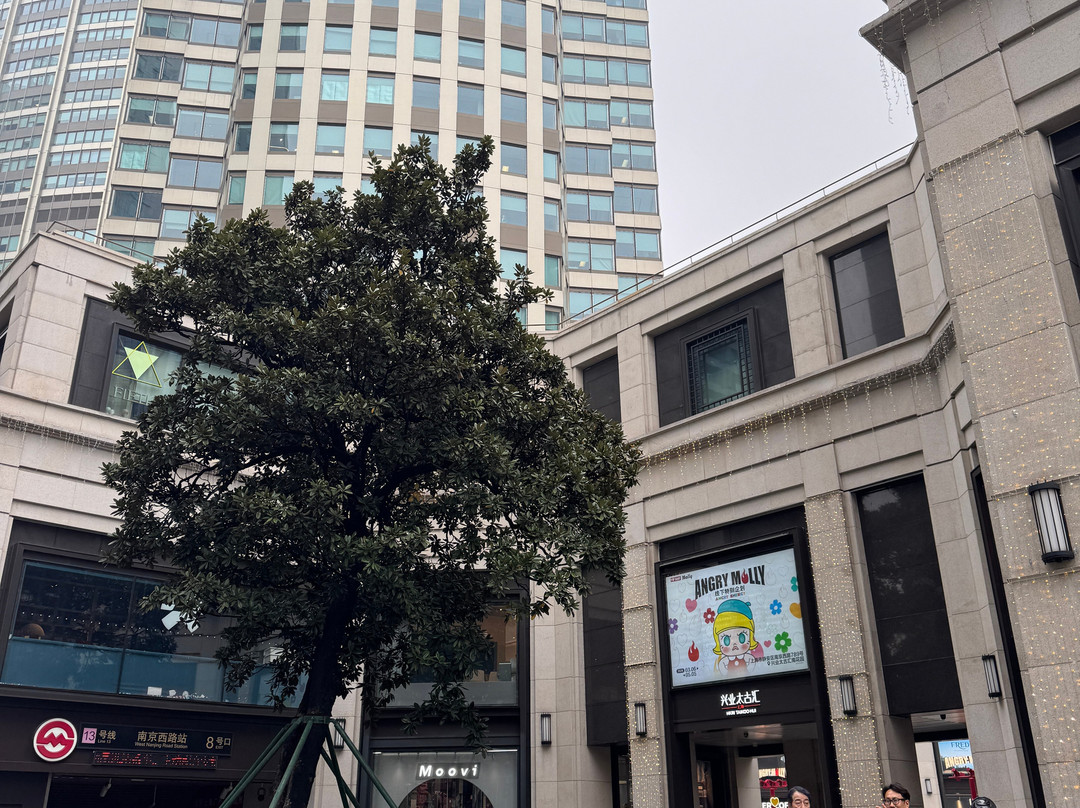 兴业太古汇-上海市必去景点