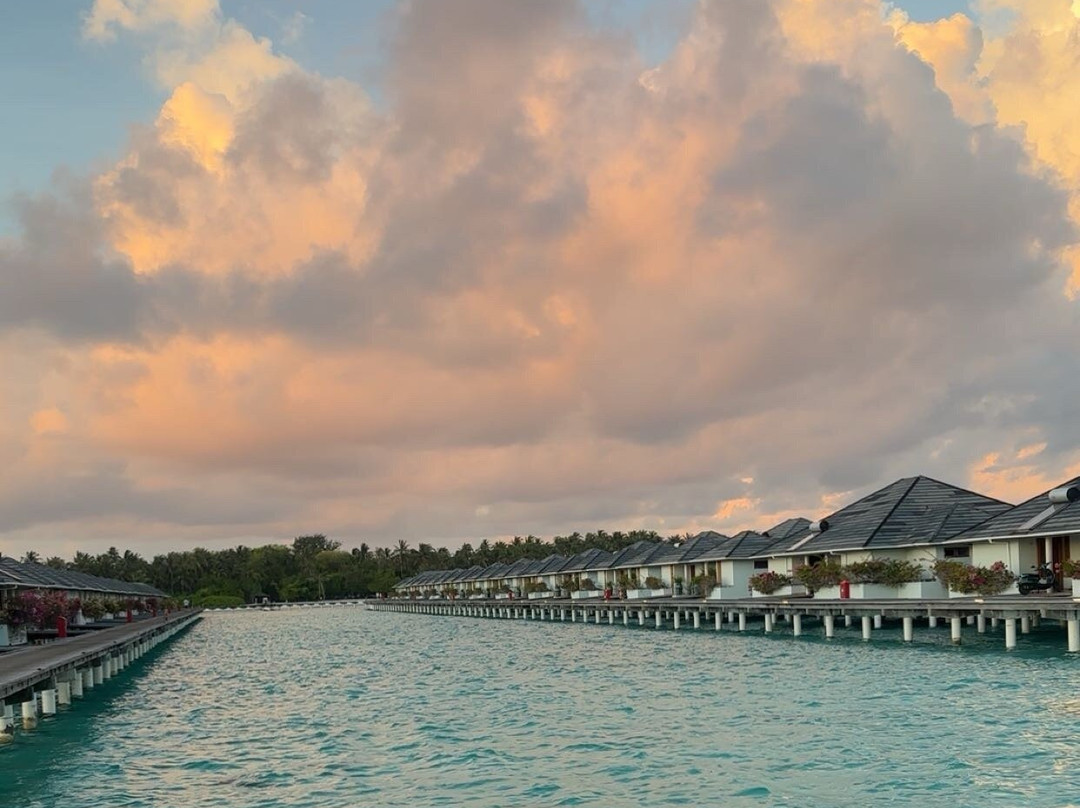 阳光岛别墅公园主图