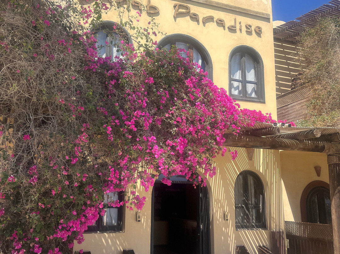 达哈卜天堂酒店主图