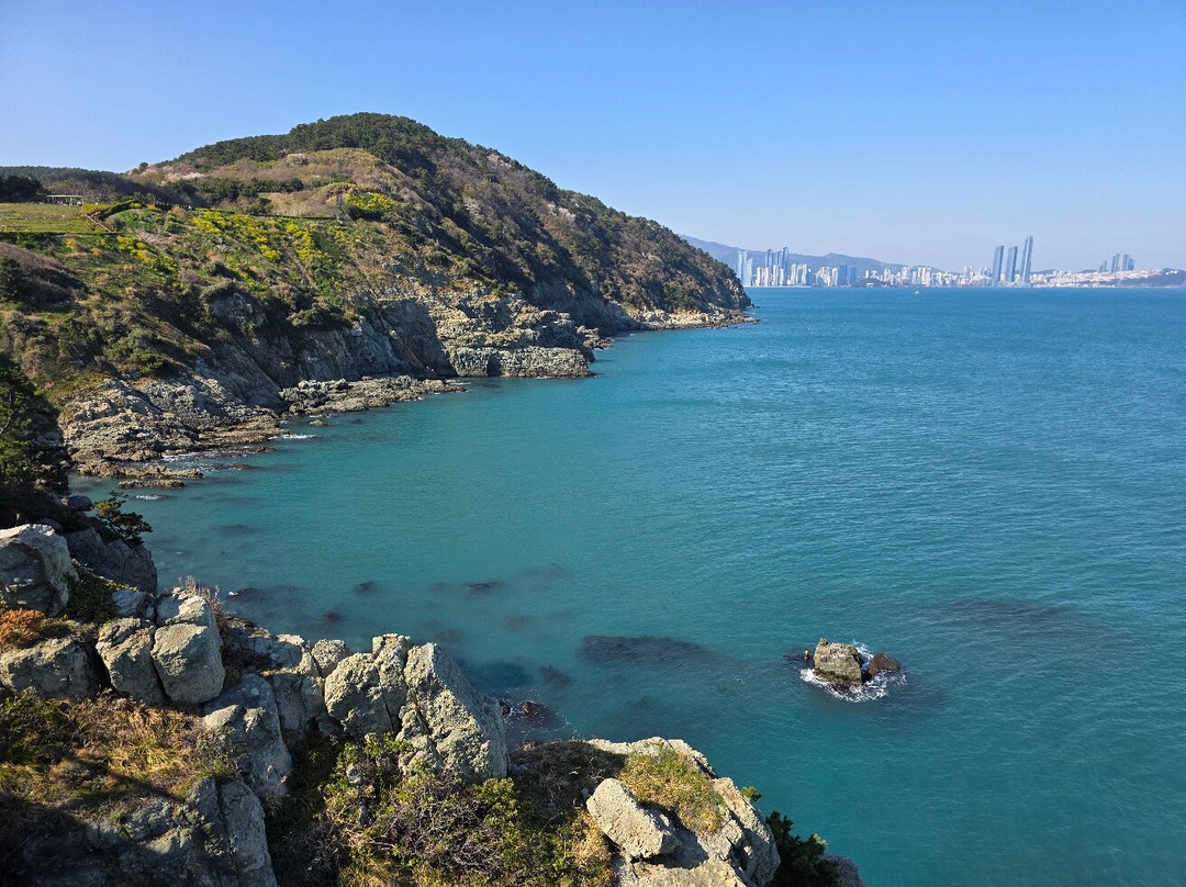 五六岛天空步道-釜山必去景点