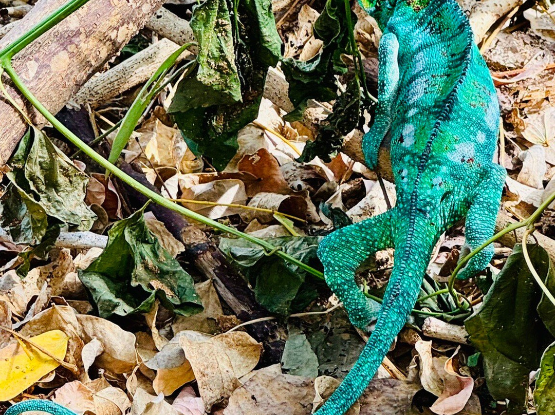 安佳马兰高海滩度假酒店主图