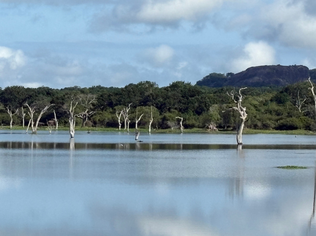Guide in Sri Lanka Rathu & Olga Tours-贝卢瓦拉必去景点