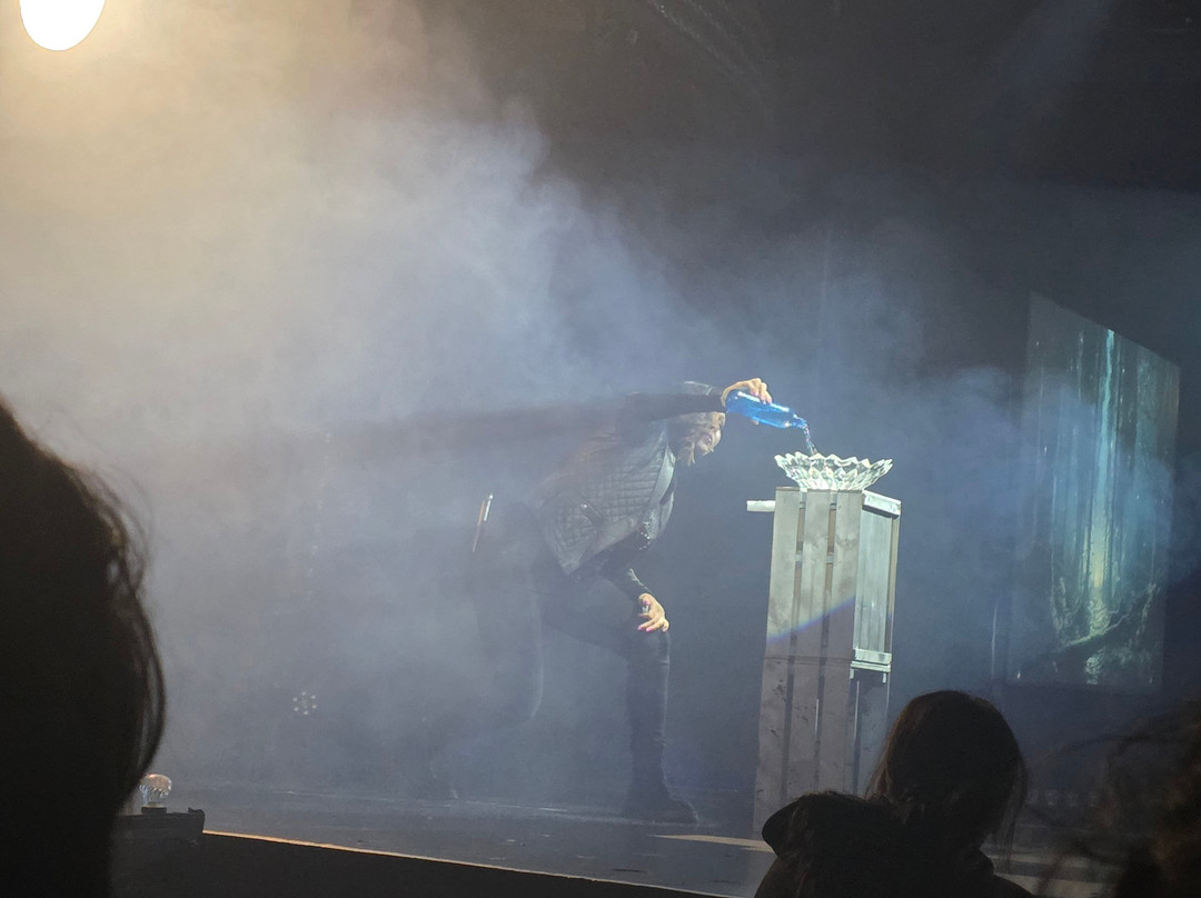 The Evolution Of Magic Show-黑潭必去景点