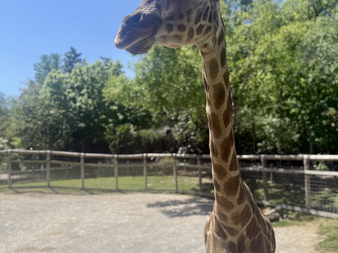 Chattanooga Zoo-查塔努加必去景点