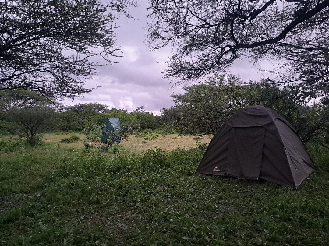 Visit Natives-Kautokeino必去景点