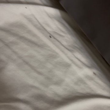Fairfield Inn & Suites Birmingham Pelham-旅行者