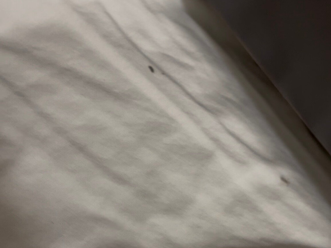 Fairfield Inn & Suites Birmingham Pelham主图
