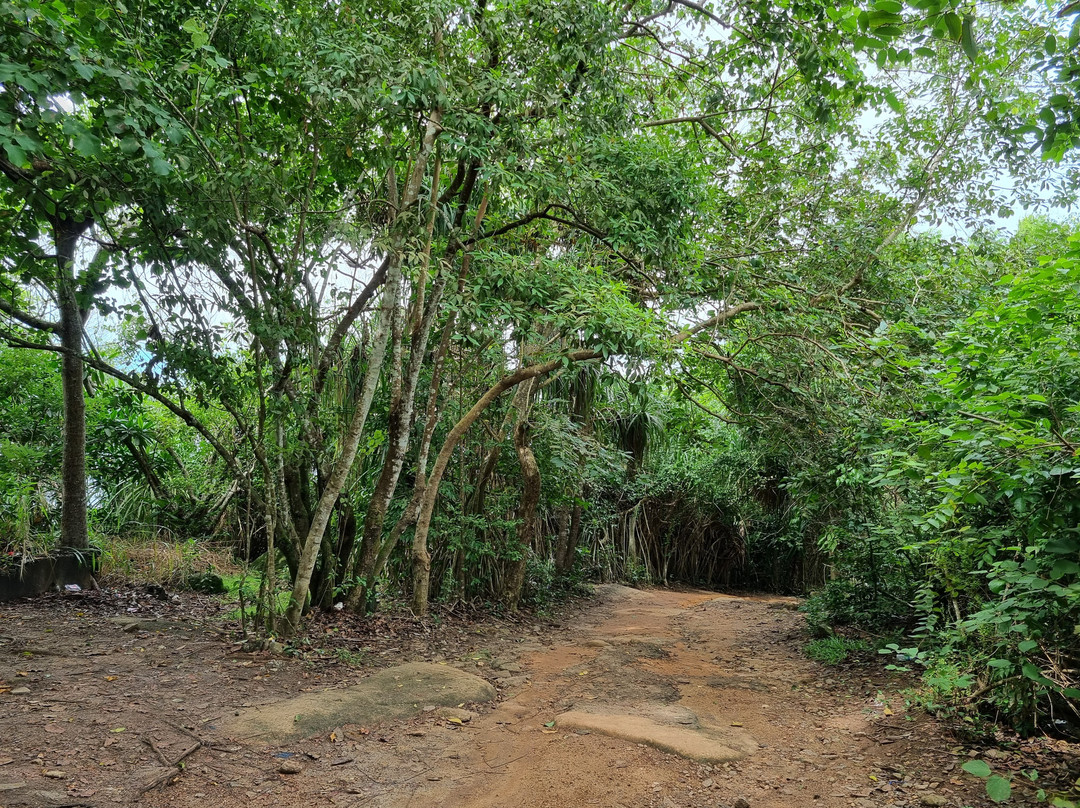 丛林海滩-乌纳瓦图纳必去景点