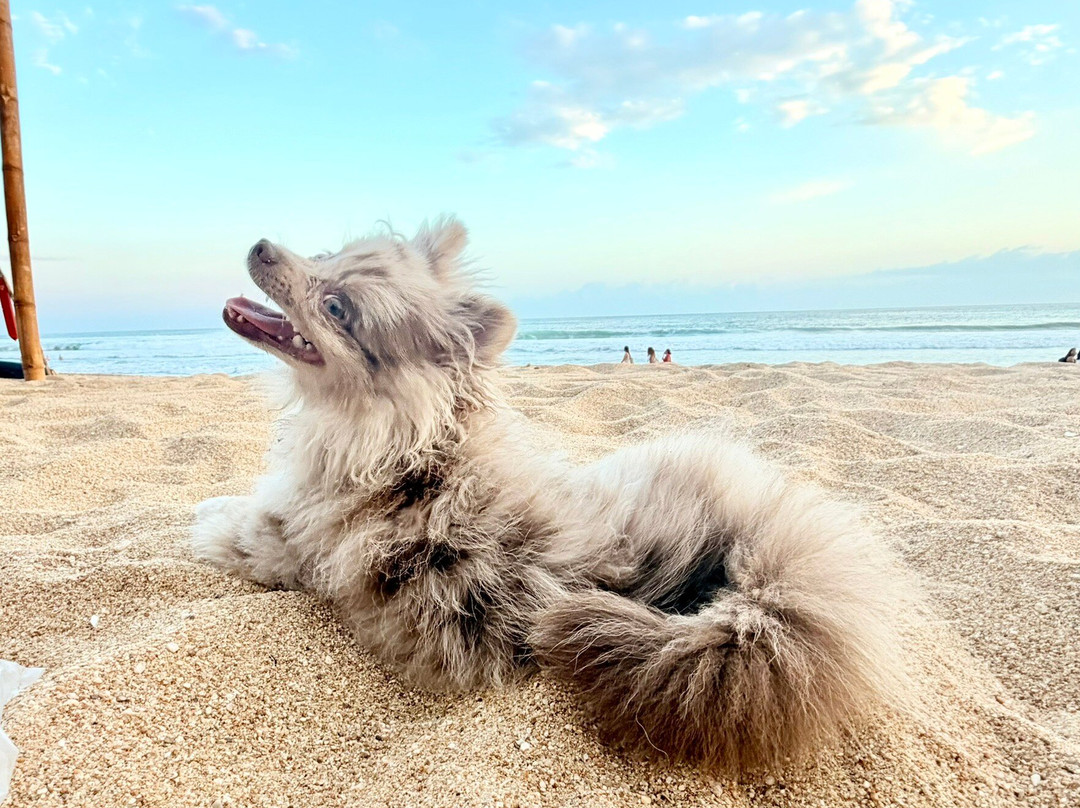 诺德齐波利特酒店 & 海滩俱乐部主图