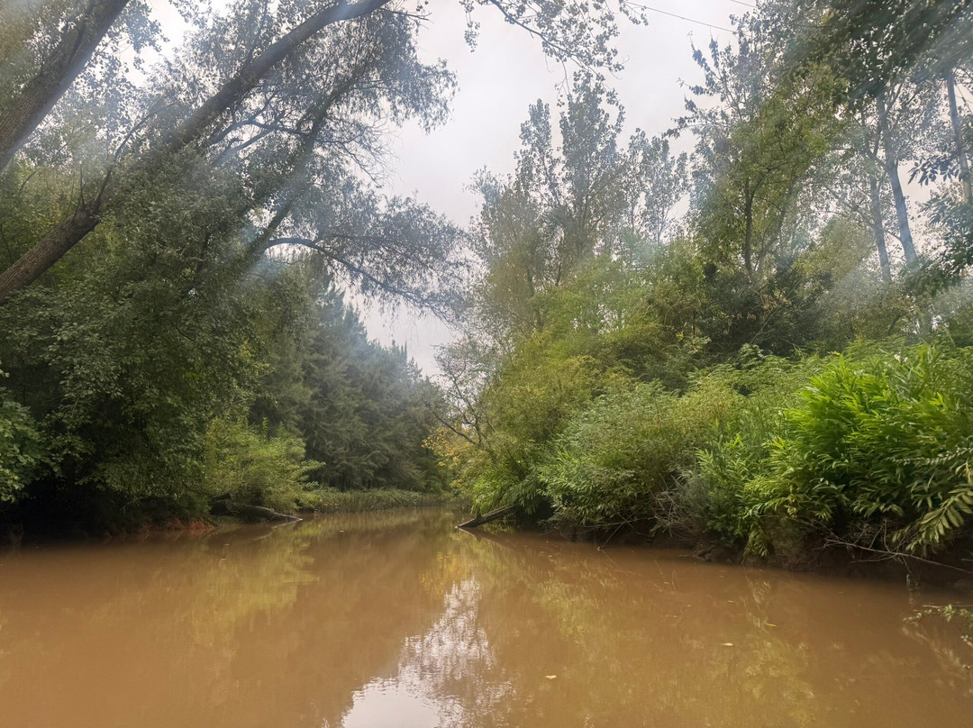 Delta Boats Tigre-蒂格雷必去景点