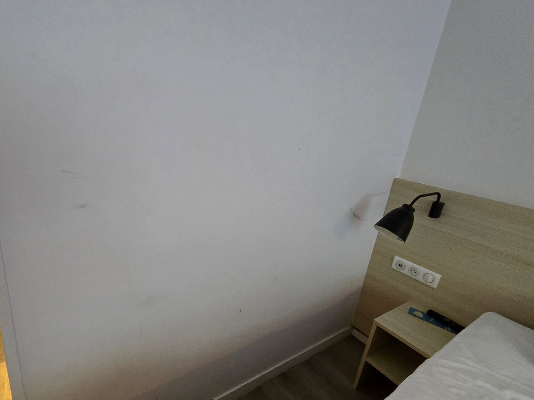 安特卫普郁金香酒店主图