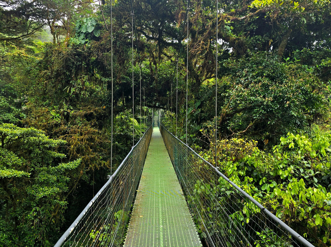 Santa Elena Skywalk-圣埃伦娜必去景点