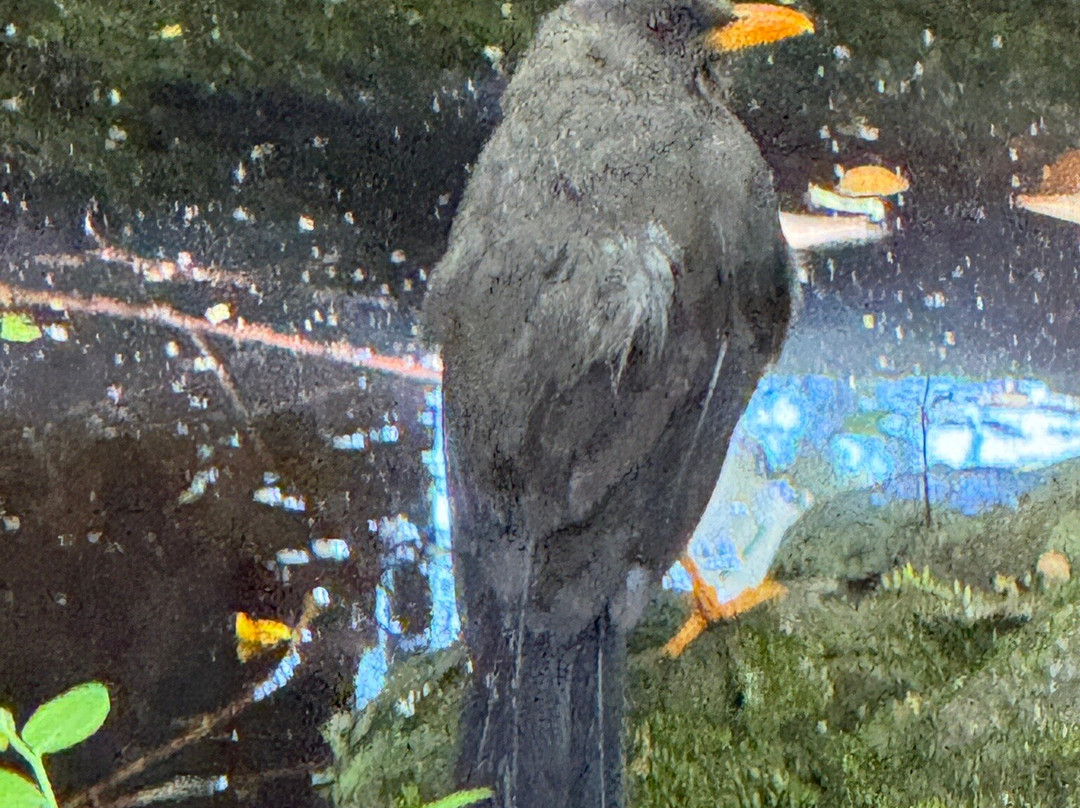 Jardín Botánico de Quito-基多必去景点
