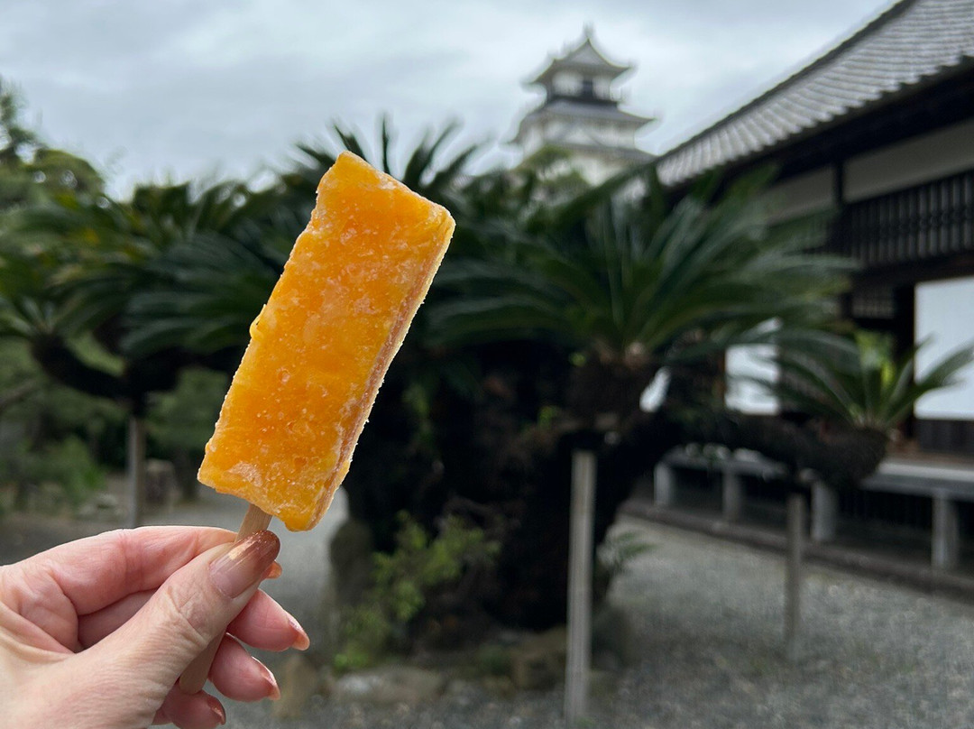 Kakegawa Castle Goden-挂川市必去景点